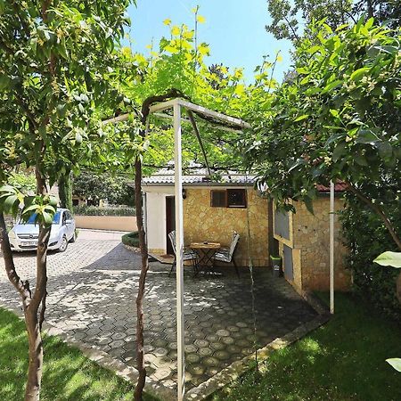 فيلا زادارفي House "Park" المظهر الخارجي الصورة
